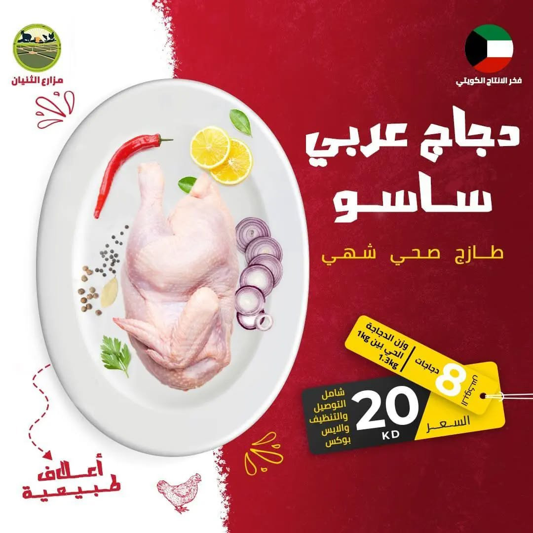 بوكس 10 دجاج عربي ساسو